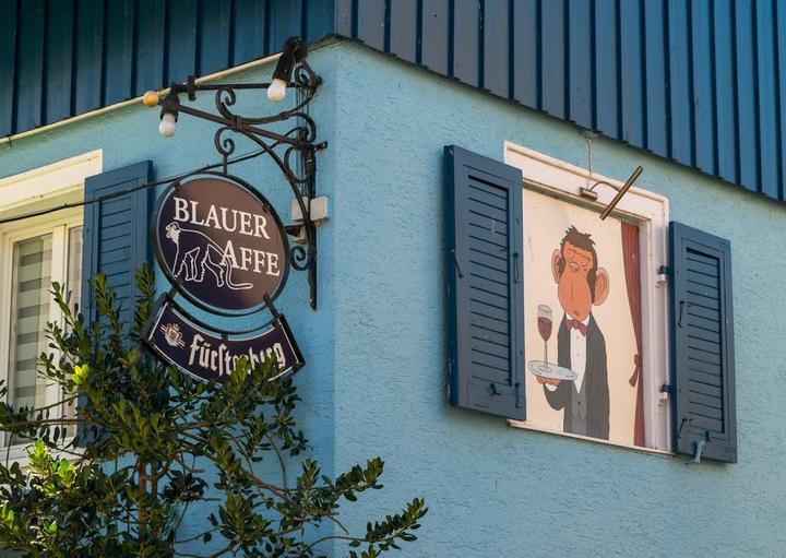 Blauer Affe